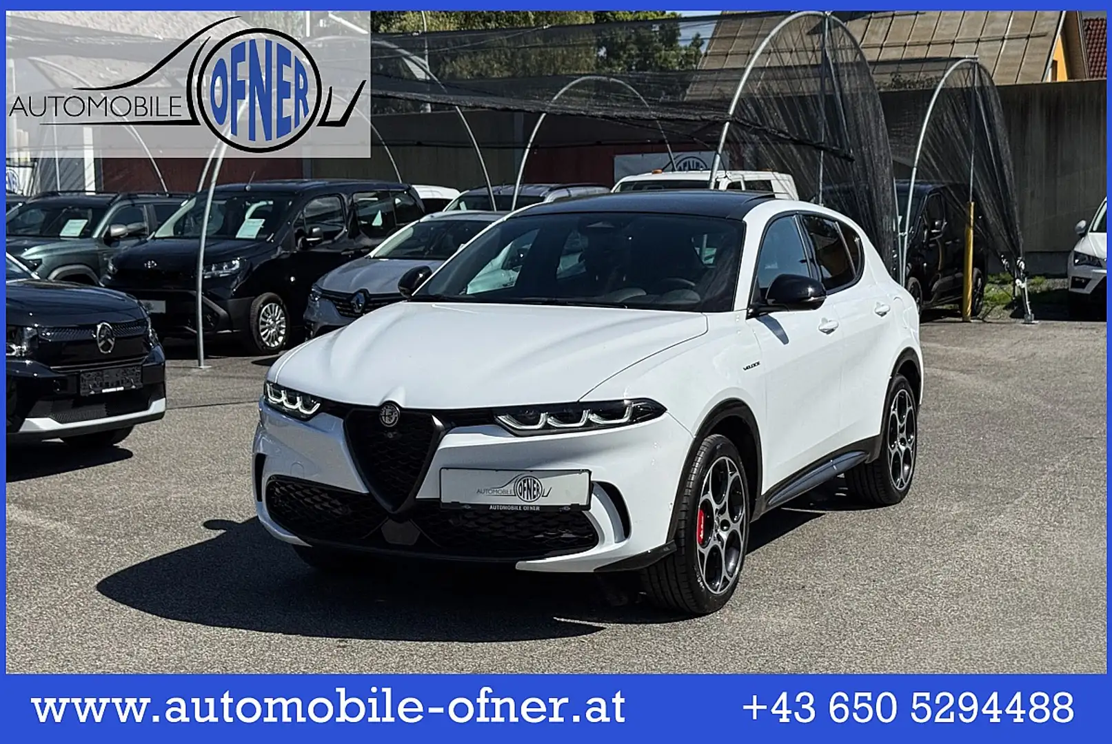 Alfa Romeo Tonale Veloce T4 PHEV VGT e-AWD LED PDC 360°Kamera Sit... Blanc - 1