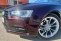 Audi A5 A5 SB 2,0 TDI Style Aut. Style Violett - thumbnail 3