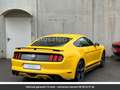 Ford Mustang 5.0 V8 GT/CS Premium*California Special* Hors homo Żółty - thumbnail 14