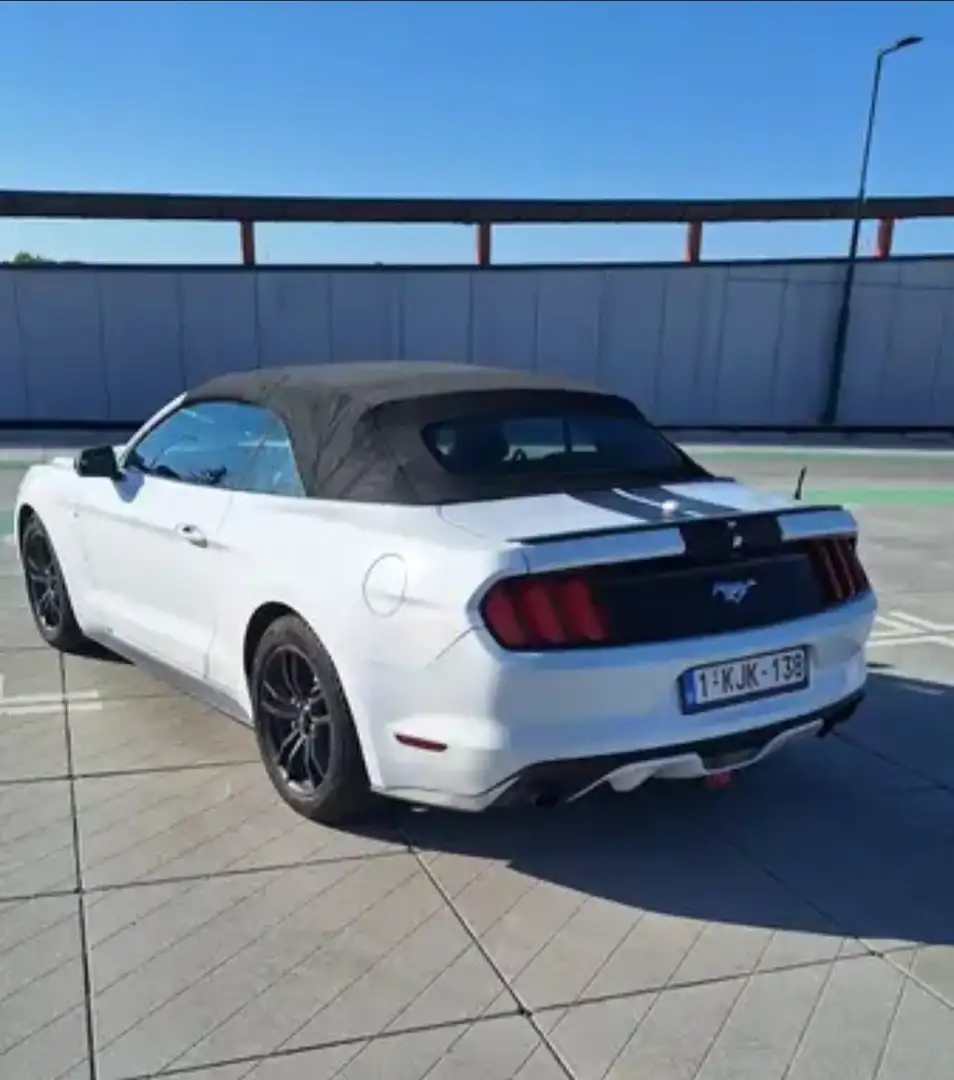 Ford Mustang Cabrio 2.3 Eco Boost - 1