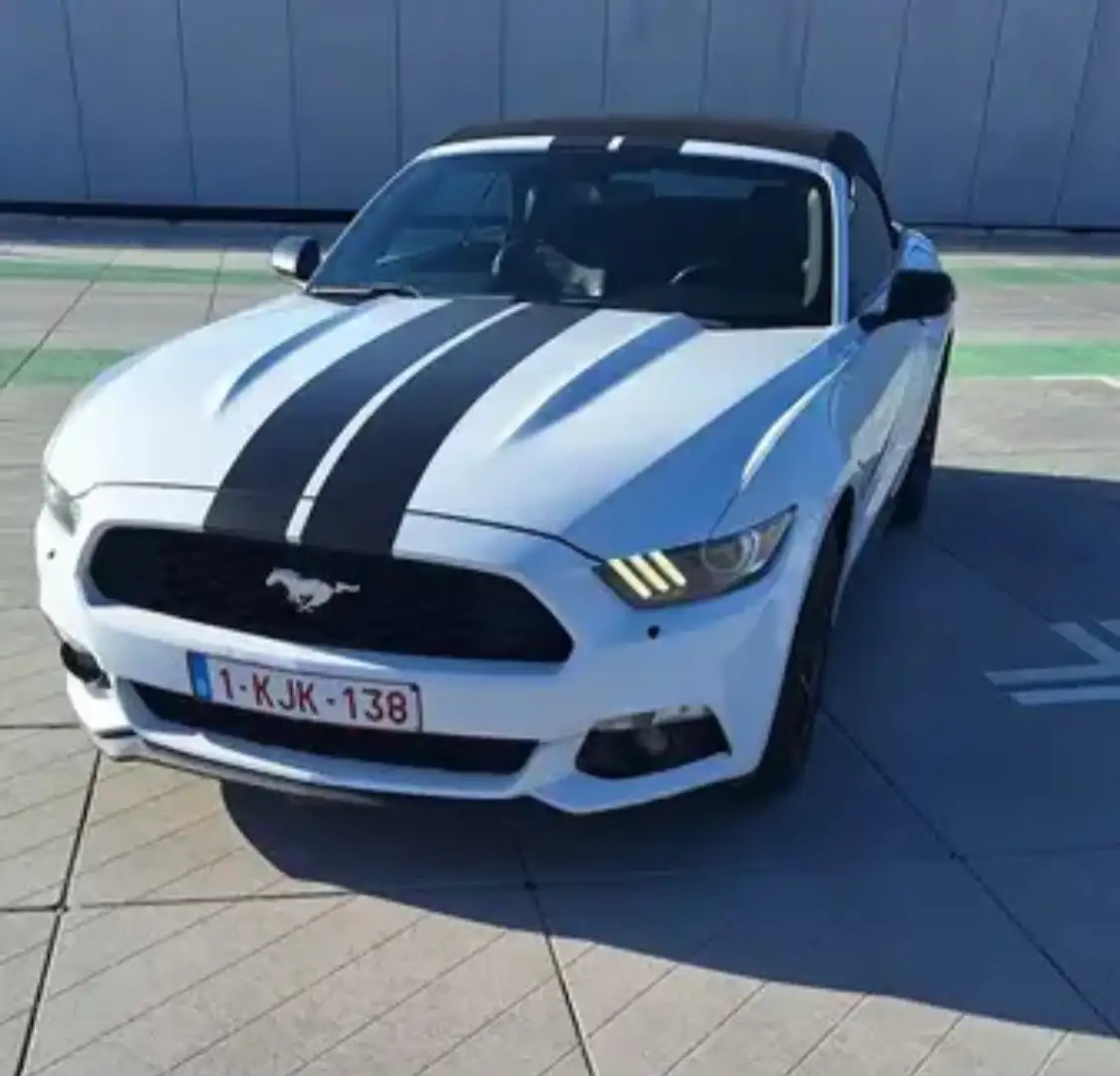 Ford Mustang Cabrio 2.3 Eco Boost - 2