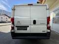 Citroen Jumper Jumper 30 L1H1 BlueHDi 120 Start&Stop Weiß - thumbnail 6