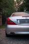Mercedes-Benz SL 350 Tagliandi certificati Argento - thumbnail 14