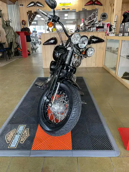 Harley-Davidson Cross Bones - foto 6
