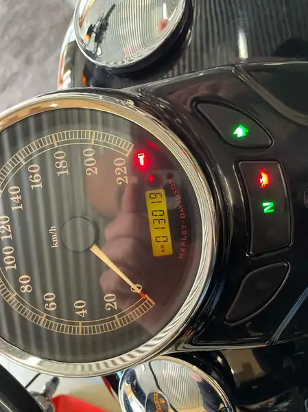 Harley-Davidson Cross Bones - foto 7