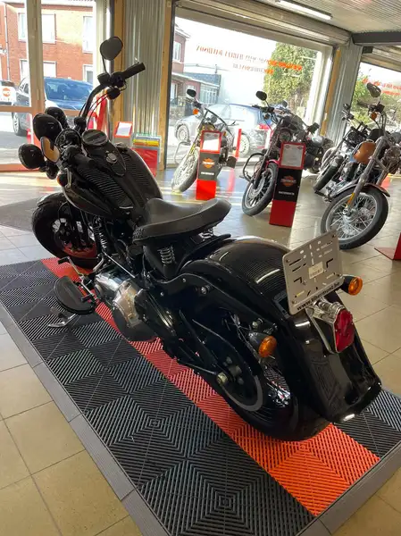 Harley-Davidson Cross Bones - foto 4