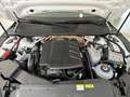 Audi A7 SB 50 2.0 TFSI 250 CV AUT SLINE PLUG-IN WRAP EST Bílá - thumbnail 47