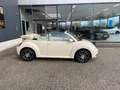 Volkswagen New Beetle Cabriolet 1.6 Highline Beige - thumbnail 2
