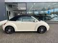 Volkswagen New Beetle Cabriolet 1.6 Highline Beige - thumbnail 5