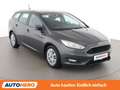 Ford Focus 1.5 TDCi Trend Grau - thumbnail 8