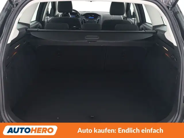 Ford Focus view 17