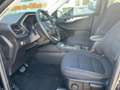 Ford Kuga 2.0 EcoBlue AWD Titanium AHKschwenk*LED*ACC Schwarz - thumbnail 8
