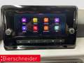 SEAT Ibiza 1.0 TSI DSG Style Edition AB 169EUR PDC SHZ Grau - thumbnail 18