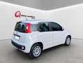 Fiat Panda 1.3 MJT 95 CV 50.000KM (88-24) - thumbnail 3