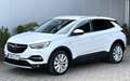 Opel Grandland X 1.6 Hybrid4 Ultimate*Leder*Navi*ACC Wit - thumbnail 2