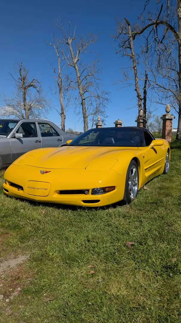 Chevrolet Corvette Coupe 5.7 Amarillo - 1