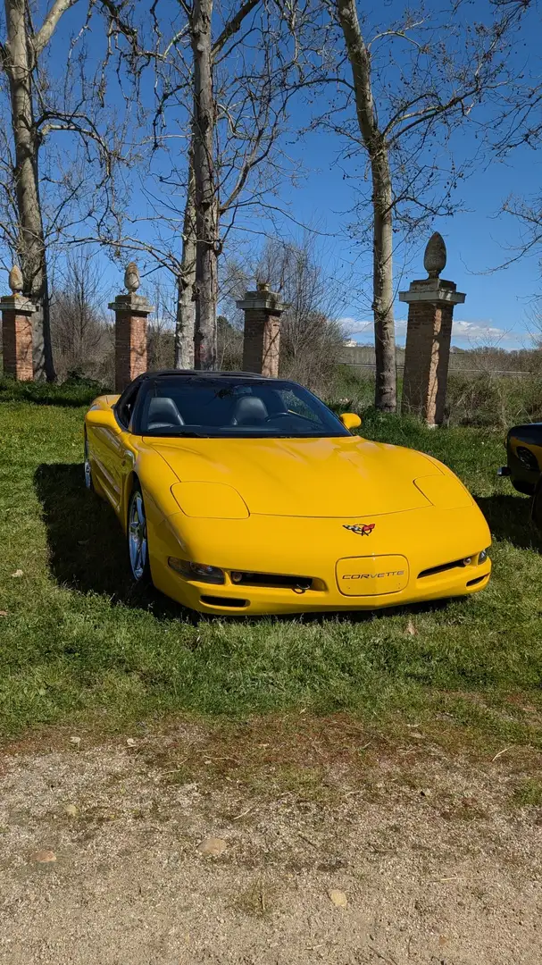 Chevrolet Corvette Coupe 5.7 Amarillo - 2