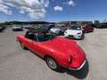 Alfa Romeo 155 Alfa 155 Spider Fastback 1600 "Oldtimer Zulassung" Rot - thumbnail 10