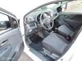 Suzuki Alto 1.0 Celebration 1ste Eigenaar! Dealer onderh.! Alb - thumbnail 5