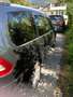 Ford Galaxy Galaxy Titanium 2,2 TDCi DPF Aut. Titanium Schwarz - thumbnail 4