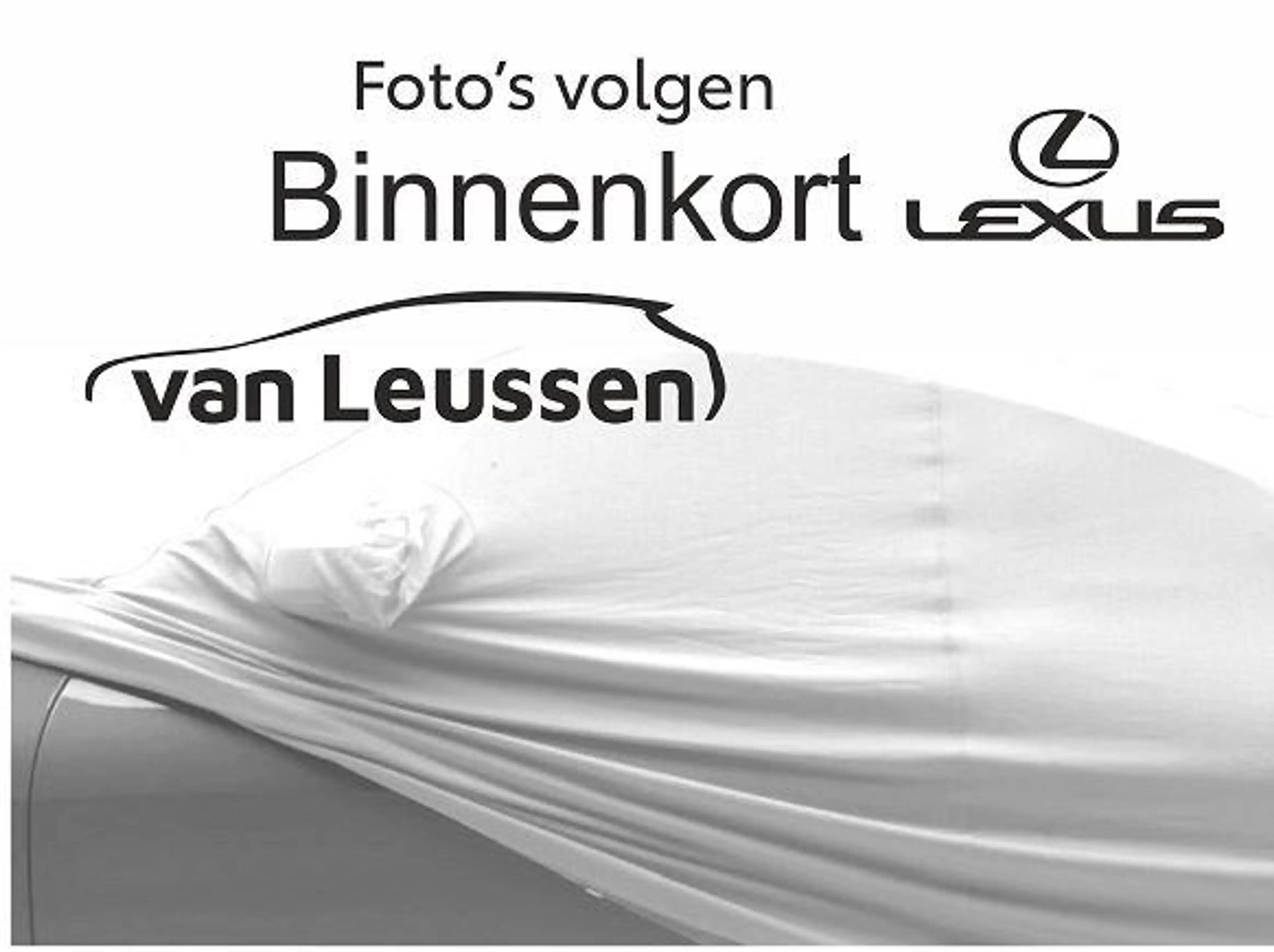 Lexus UX 250h Business Line Pro CAMERA NAVI — photo 4