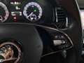 Skoda Kodiaq 2,0 TDI SCR 4x4 Style SC DSG/LED/AHK/360°Kamera/S Grigio - thumbnail 23