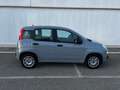 Fiat Panda 1.2 easypower City Life Gpl s&s 69cv - thumbnail 4