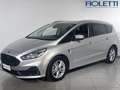Ford S-Max 2ª SERIE 2.0 ECOBLUE 150CV START&STOP AUT.7P. TIT Argent - thumbnail 1
