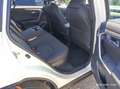 Toyota RAV 4 Plug-in-Hybrid Teamplayer* Weiß - thumbnail 12