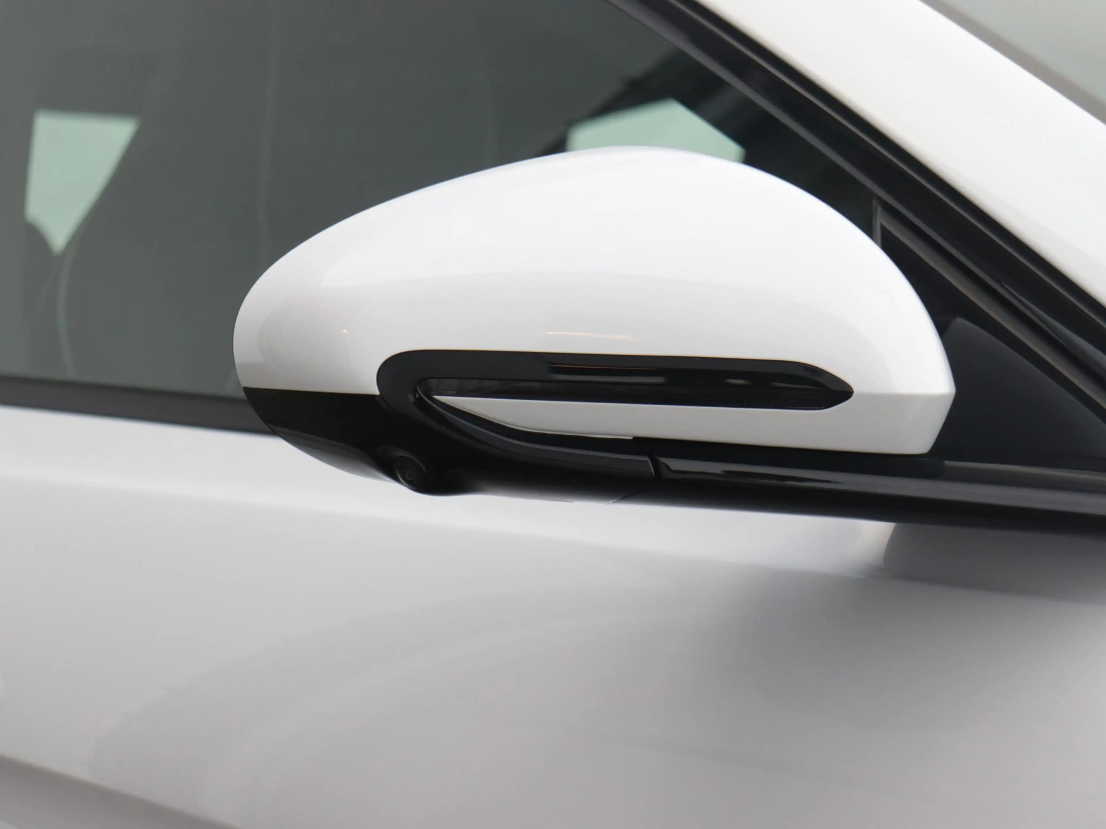 BYD Seal Business RWD MY2026 61.4 kWh | Dynaudio | 360° cam — photo 13