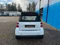 smart forTwo fortwo cabrio Micro Hybrid Drive Blanco - thumbnail 12