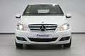 Mercedes-Benz B 200 200CDI Blanco - thumbnail 2