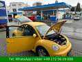 Volkswagen New Beetle Highline 1,9 TDI Klima Sitzh. PDF Vog Amarillo - thumbnail 16