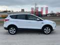 Ford Kuga Sync Edition Blanc - thumbnail 4
