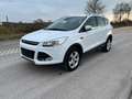Ford Kuga Sync Edition Blanc - thumbnail 2