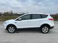 Ford Kuga Sync Edition Blanc - thumbnail 5