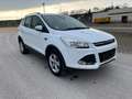Ford Kuga Sync Edition Blanc - thumbnail 3
