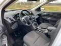 Ford Kuga Sync Edition Blanc - thumbnail 7