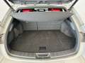 Lexus UX 250h Hybrid 4WD F Sport Grigio - thumbnail 4