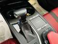 Lexus UX 250h Hybrid 4WD F Sport Grigio - thumbnail 14