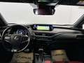 Lexus UX 250h Hybrid 4WD F Sport Grigio - thumbnail 7