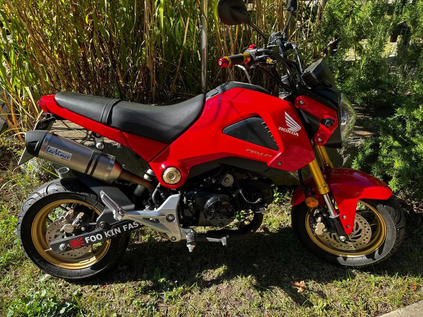 Honda MSX 125 Rouge - 2