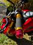 Honda MSX 125 Rouge - thumbnail 5
