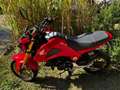 Honda MSX 125 Rouge - thumbnail 3