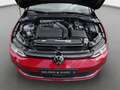 Volkswagen Golf Variant Life 1.5 TGI Pano*Stand*RFK*HuD*ACC Rot - thumbnail 17