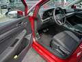 Volkswagen Golf Variant Life 1.5 TGI Pano*Stand*RFK*HuD*ACC Rot - thumbnail 13