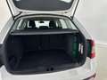 Skoda Octavia 2.0 TDI CR 180 CV 4x4 DSG Wagon Scout Bianco - thumbnail 14