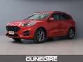 Ford Kuga Kuga 2.0 EcoBlue 190 CV aut. AWD ST-Line X Rot - thumbnail 2