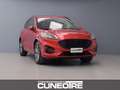 Ford Kuga Kuga 2.0 EcoBlue 190 CV aut. AWD ST-Line X Rot - thumbnail 1