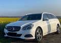 Mercedes-Benz E 220 E 220 T CDI 7G-TRONIC Fehér - thumbnail 1